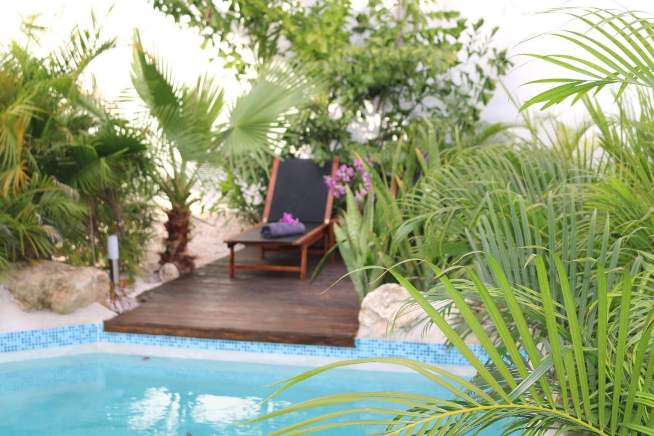 New House Tropic Paradise With Pool Willemstad Bagian luar foto