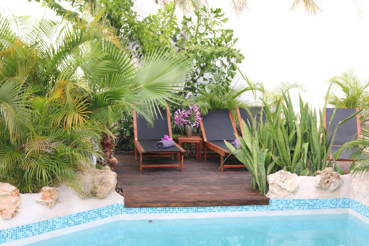 New House Tropic Paradise With Pool Willemstad Bagian luar foto