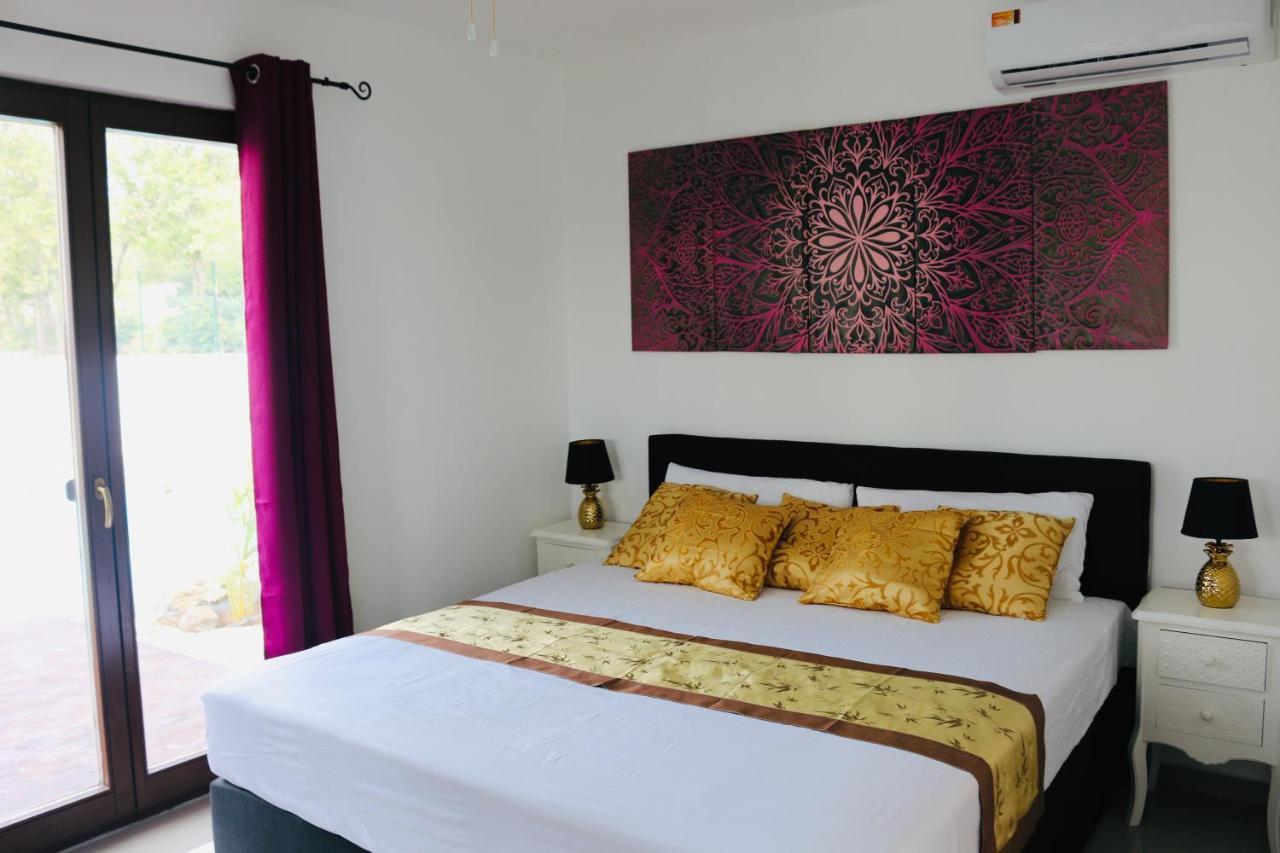 New House Tropic Paradise With Pool Willemstad Bagian luar foto