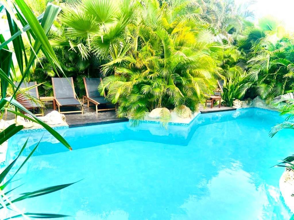 New House Tropic Paradise With Pool Willemstad Bagian luar foto